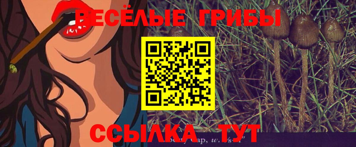 Псилоцибиновые грибы мухоморы  Вход с VPN  Псилоцибиновые грибы мицелий  Каменск-Шахтинский 