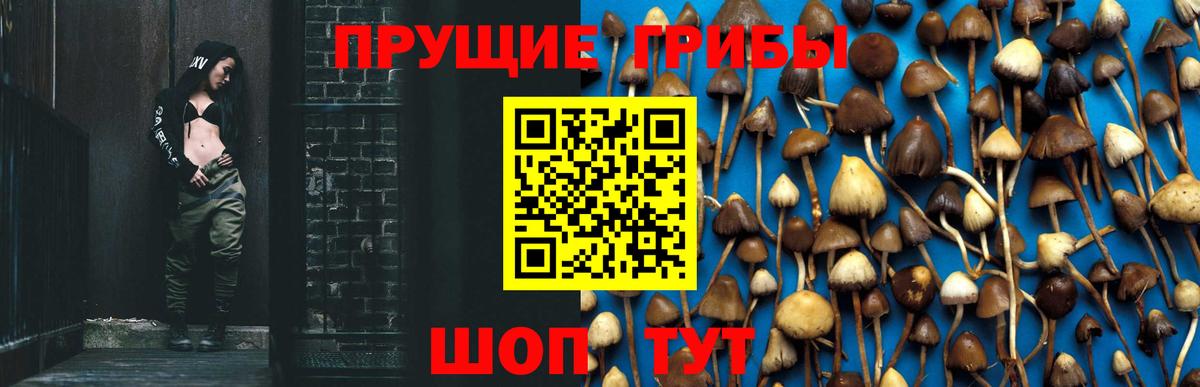 Галлюциногенные грибы Cubensis Каменск-Шахтинский